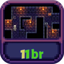 11br