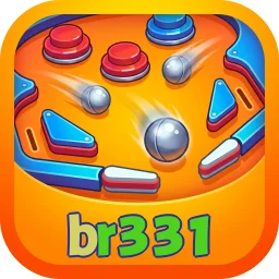 br331